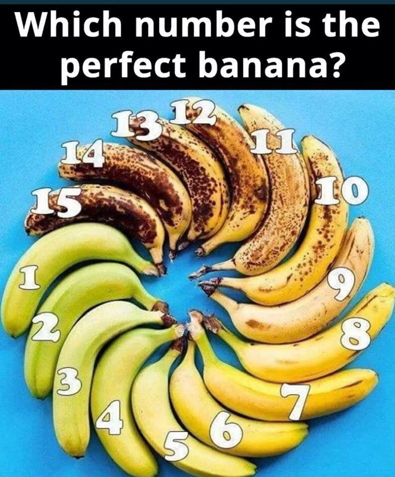 Teachable Machine: Image Project 1 (Guided)