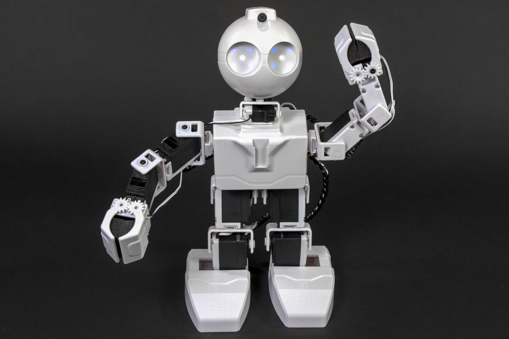 EZ –Humanoid Robot